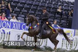 25R13_15596 thumbnail