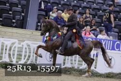 25R13_15597 thumbnail
