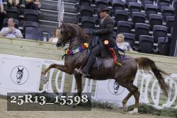 25R13_15598 thumbnail