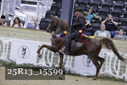 25R13_15599 thumbnail