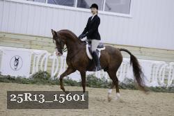 25R13_15601 thumbnail