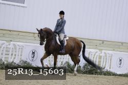 25R13_15603 thumbnail