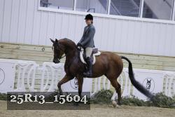 25R13_15604 thumbnail