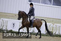 25R13_15605 thumbnail