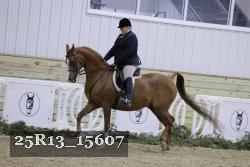 25R13_15607 thumbnail