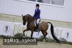25R13_15608 thumbnail