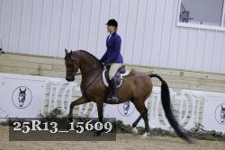 25R13_15609 thumbnail