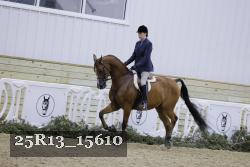 25R13_15610 thumbnail