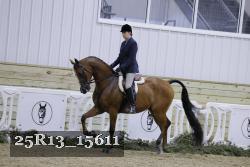 25R13_15611 thumbnail