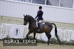 25R13_15612 thumbnail