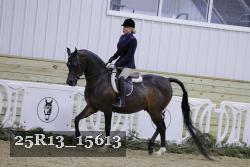 25R13_15613 thumbnail