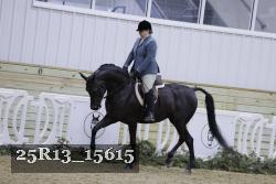 25R13_15615 thumbnail