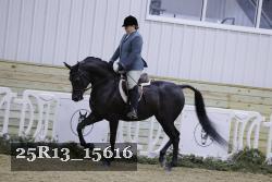25R13_15616 thumbnail