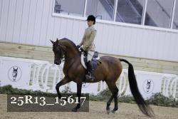 25R13_15617 thumbnail