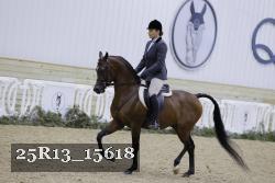 25R13_15618 thumbnail