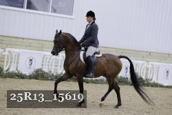 25R13_15619 thumbnail