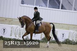 25R13_15620 thumbnail