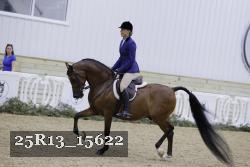 25R13_15622 thumbnail