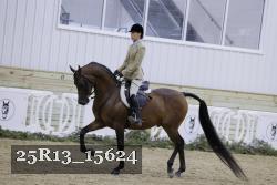 25R13_15624 thumbnail