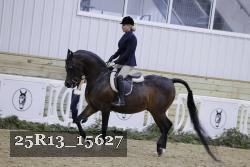25R13_15627 thumbnail