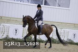 25R13_15628 thumbnail