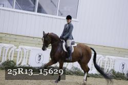 25R13_15629 thumbnail
