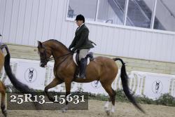 25R13_15631 thumbnail