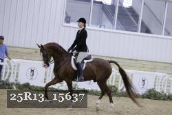 25R13_15637 thumbnail