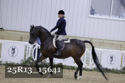 25R13_15641 thumbnail