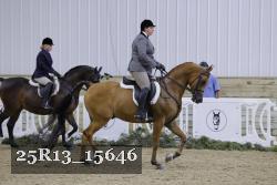 25R13_15646 thumbnail