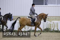 25R13_15647 thumbnail