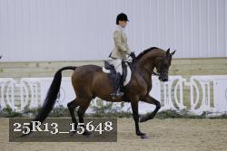 25R13_15648 thumbnail