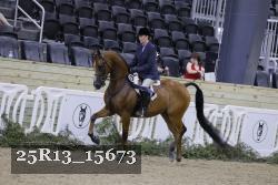 25R13_15673 thumbnail