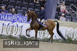 25R13_15675 thumbnail
