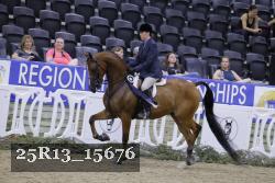 25R13_15676 thumbnail