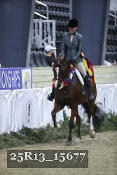 25R13_15677 thumbnail