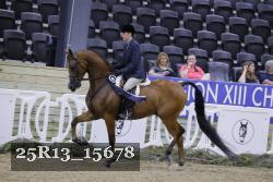 25R13_15678 thumbnail