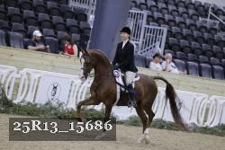 25R13_15686 thumbnail