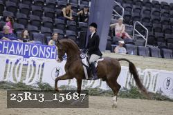 25R13_15687 thumbnail