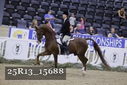 25R13_15688 thumbnail
