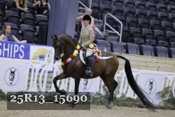25R13_15690 thumbnail