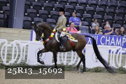 25R13_15692 thumbnail
