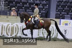 25R13_15693 thumbnail