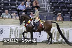 25R13_15694 thumbnail