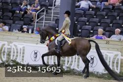 25R13_15695 thumbnail