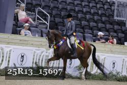 25R13_15697 thumbnail