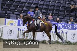 25R13_15699 thumbnail