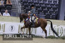 25R13_15701 thumbnail
