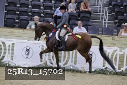 25R13_15702 thumbnail