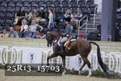 25R13_15703 thumbnail
